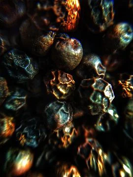 BLACK PEPPER Stock Photos