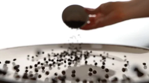 Black Pepper Rolling on White Plate Stock Footage 128190090
