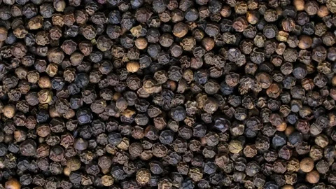 Black pepper, spice close-up flat lay as background. Stock Footage 234589592