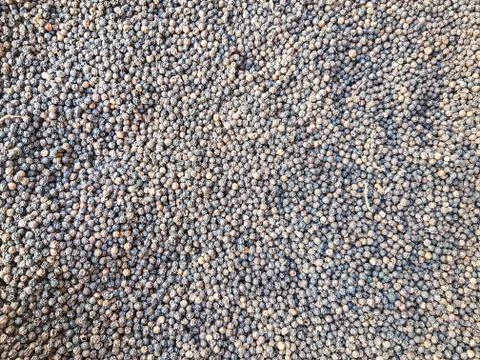 Black pepper spice pattern texture background image. Stock Photos