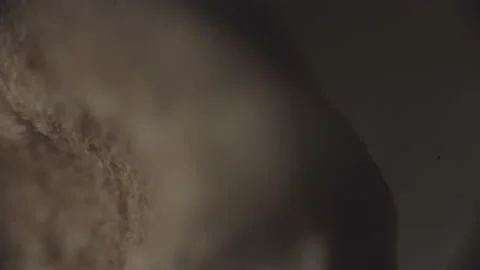 Black Pepper Under Microscope 4K Super Magnification Stockbeeldmateriaal 238374357