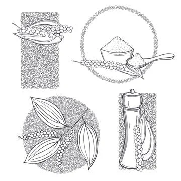 Black pepper. Vector  illustration. Stock Illustration