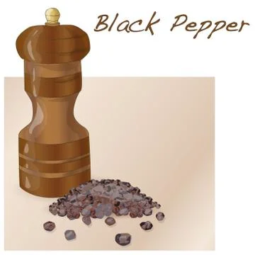 Black pepper vector isolated Stock Illustration