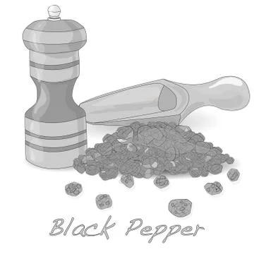Black pepper vector isolated Stock Illustration