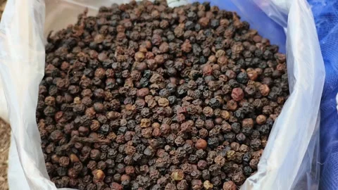 Black Peppercorns Close Up Texture in Sack Video stock 330279061