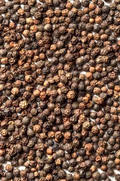 Black peppercorns Stock Photos