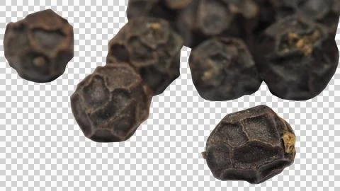Black peppers Stock Photos