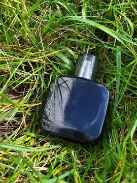 Black perfume bottle placed inside tall green garden grass Stock Photos