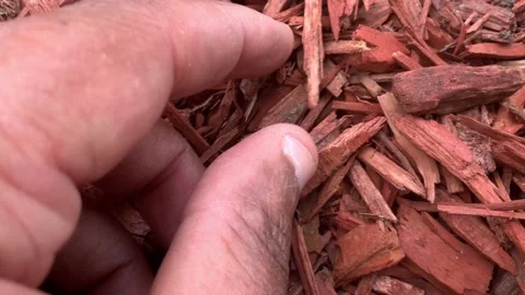 Black Person Looking for Something in Mulch With his Fingers Stock Footage 208806514