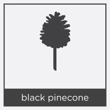 Black pinecone icon isolated on white background Stock Illustration