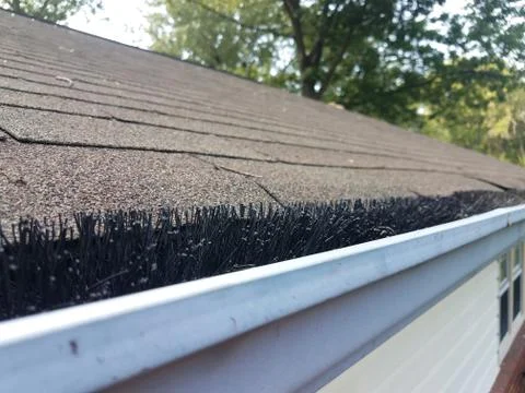 Black pipe cleaner in cleaned gutter with roof of house Stock Photos