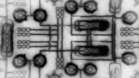 Black Pipes Animation Loop Stock Footage 218976669