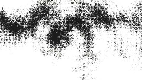 Black Pixel Disintegration Animation with Square Particles on White Background. Stock Footage 313309656