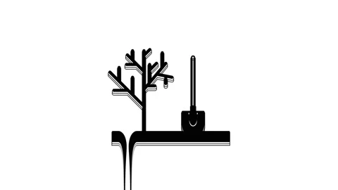 Black Planting a tree in the ground icon isolated on white background. Gardening Stock Footage 233797979