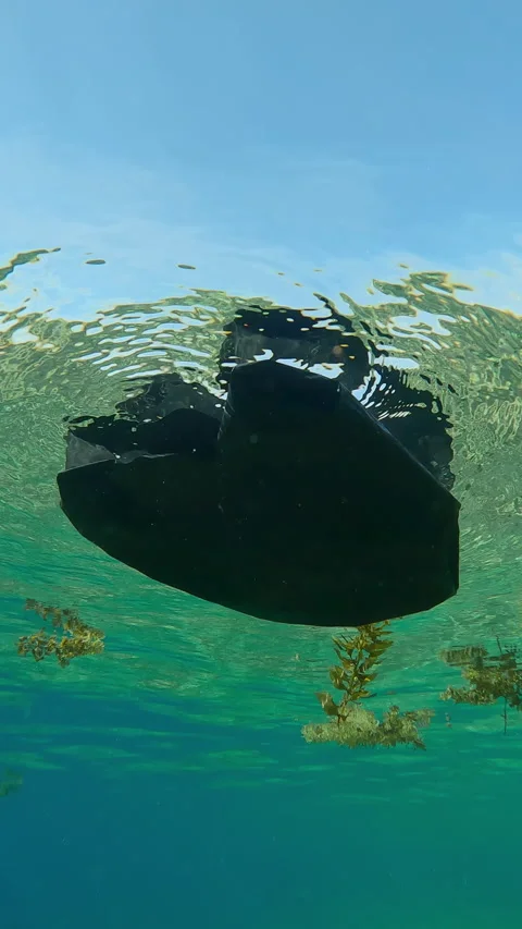 Black plastic bag drifting below water surface along with storm-ripped Seaweed Video stock 343154385