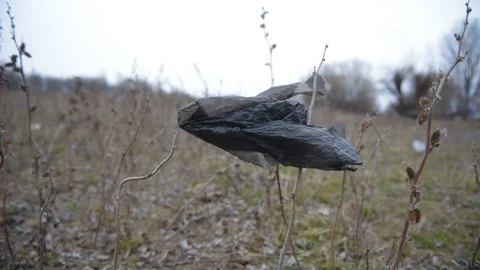 Black plastic bag fluttering in the wind Stock Footage 105103602