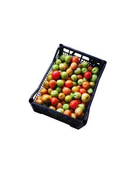 Black plastic box of brown, red and green organic  tomatoes Stock Photos