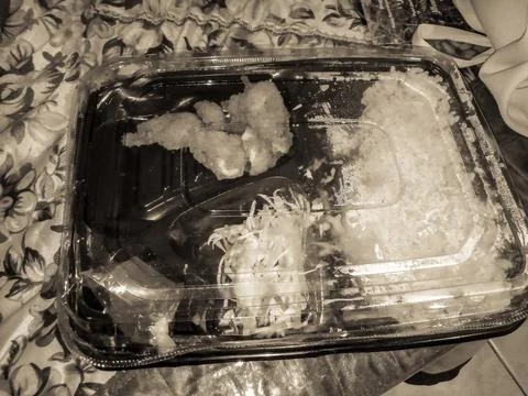 Black plastic box containing a ready meal in black and white Stock Photos