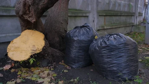 Black plastic garbage bag full of trash on park Stock Footage 168672954