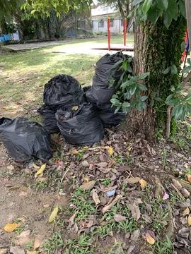 Black plastic garbage bag under the tree Stock Photos