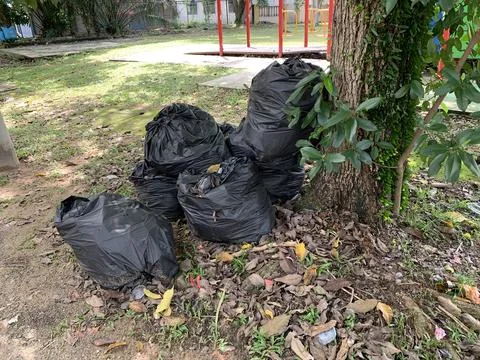 Black plastic garbage bag under the tree Stock Photos