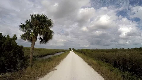 Black Point Wildlife Drive Time Lapse. Stock-Footage 71634847