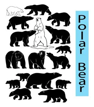 Black Polar bear outline vector illustration, Polar bear silhouette vector Stock Illustration