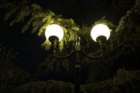 Black pole with white lanterns in a night park with green fir trees Stock Photos