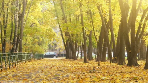 Black poly Stock Footage 97585615