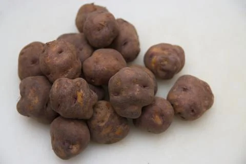Black potatoes to make papas arrugadas, recipe from the Canary Islands, Spain Stock Photos