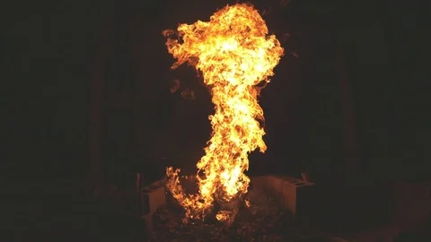 Black Powder Exploding in a Campfire in Slow Motion Stock Footage 70871269