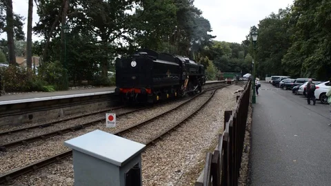 Black Prince-1 Stock Footage 88615459