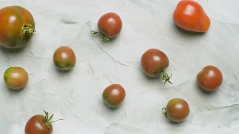 Black Prince tomatoes Stock Footage 140344024