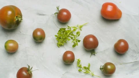 Black Prince tomatoes Stock Footage 140344302