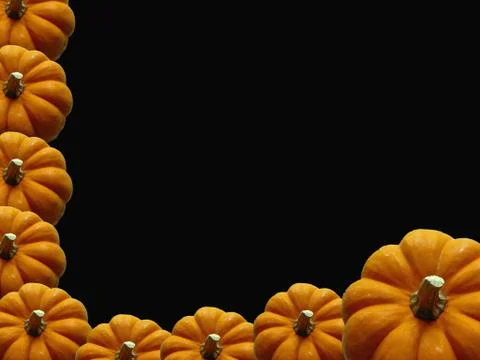 Black Pumpkin Frame Stock Photos