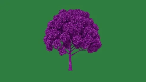 Black purple tree on Stock Footage 336971291