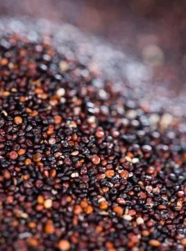 Black quinoa background Stock Photos