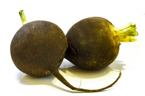 Black radish . Stock Photos