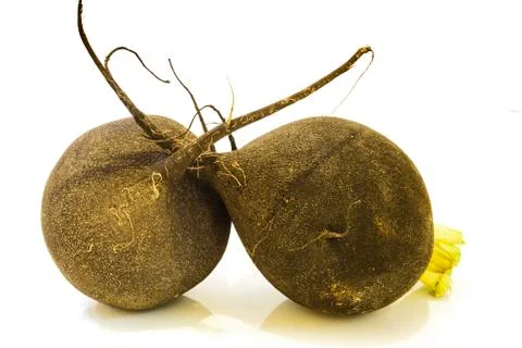 Black radish . Stock Photos