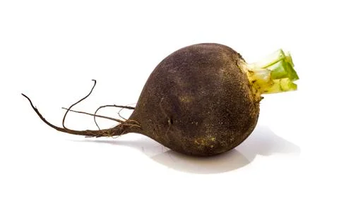 Black radish . Stock Photos