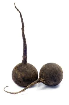 Black radish Stock Photos