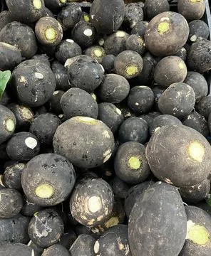 Black radish Stock Photos