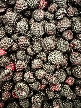 Black raspberry background Stock Photos