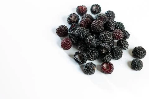 Black raspberry is fragrant and delicious on a white background. Stock Photos