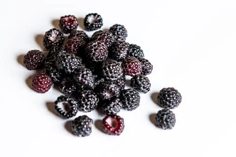 Black raspberry is fragrant and delicious on a white background. Foto stock