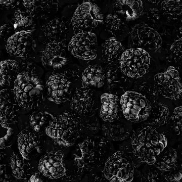 Black Raspberry fruit background Stock Photos