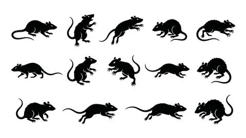 Black rat and mouse silhouettes showing various rodent poses for pest contr.. Illustrazione stock