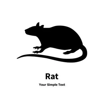 Black rat Stock Illustration