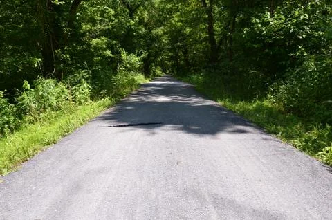 Black rat snake on path in forest or woods Stock Photos
