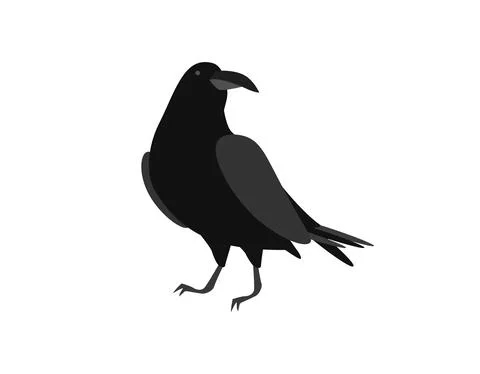 Black raven. Brooding bird sits on surface with its head turned Stock Illustration